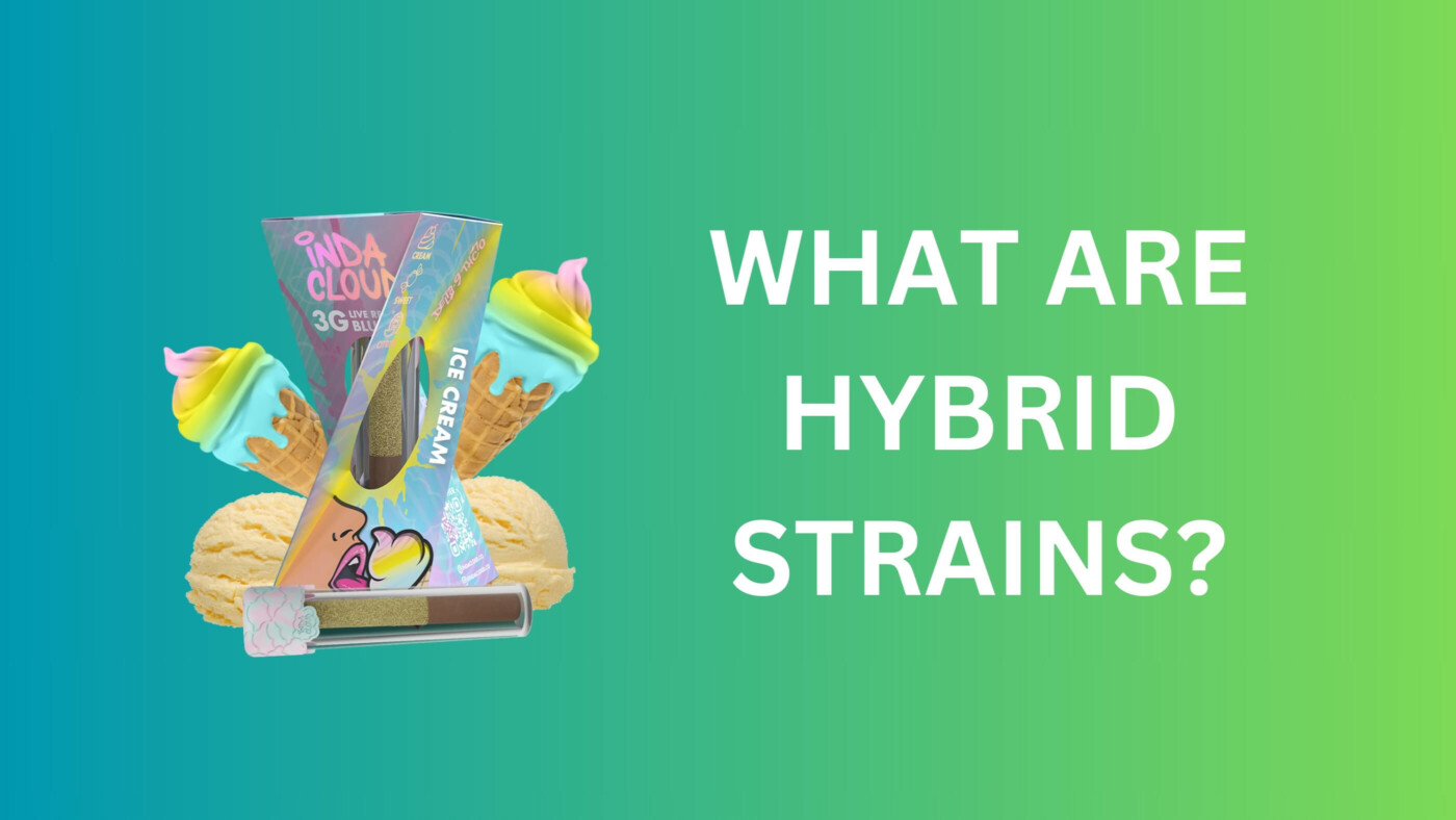 What Are Hybrid Strains