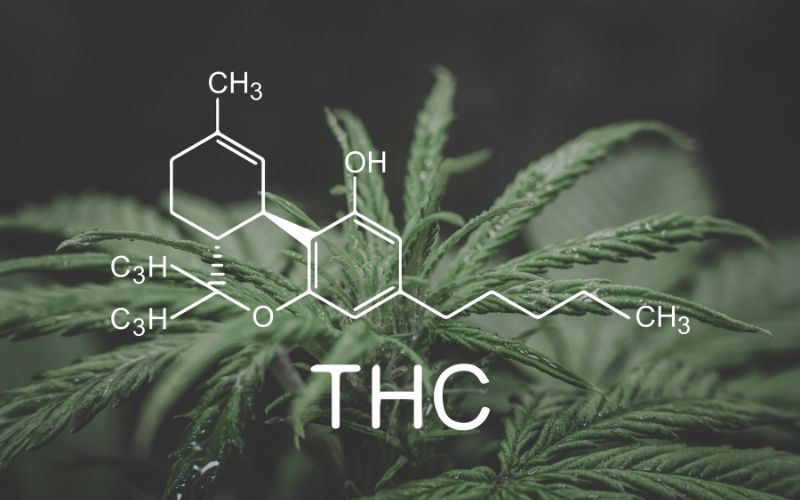 Thc Structure