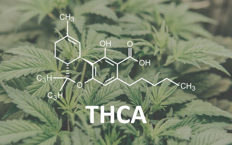 Thca Structure